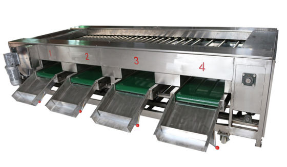 2000kg / h آلات تجهيز الأغذية ، معدات فرز الخضروات والفواكه