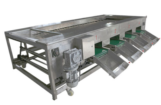 2000kg / h آلات تجهيز الأغذية ، معدات فرز الخضروات والفواكه